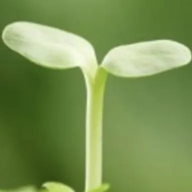 Profile image of 유하민