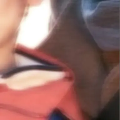 Profile image of 上田 種