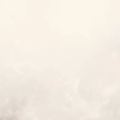 Profile image of 堂本 剛
