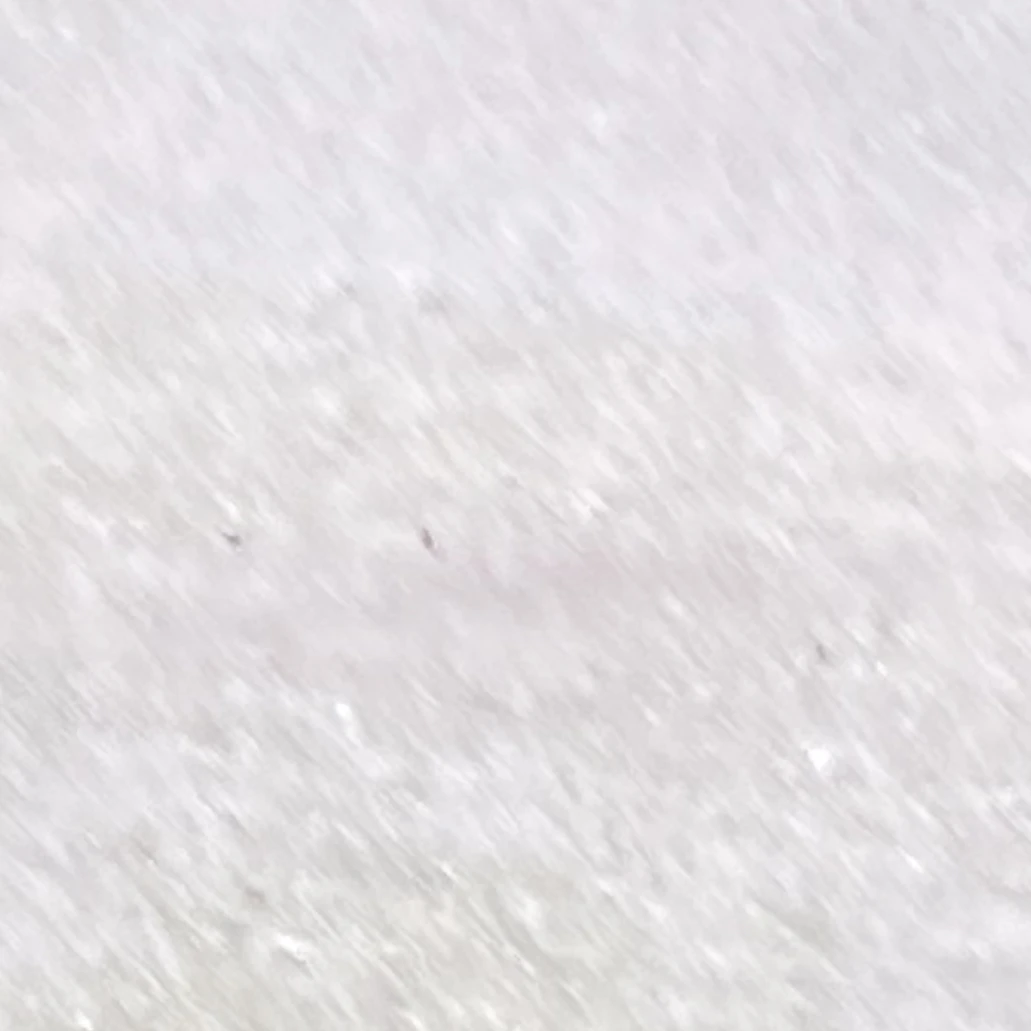 チャボ