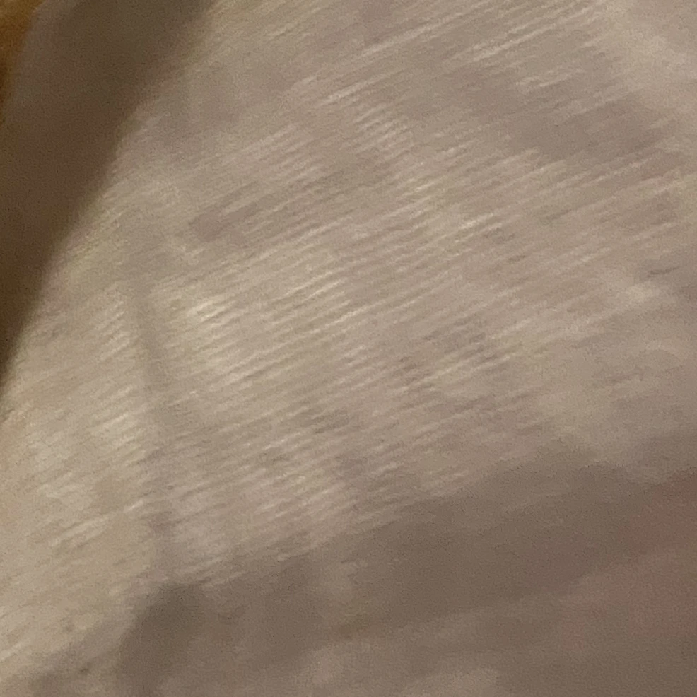 世界