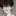 蓮唯