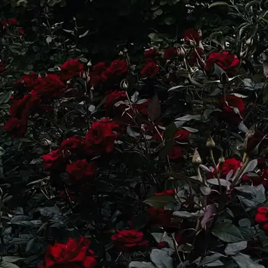 Profile image of 제이