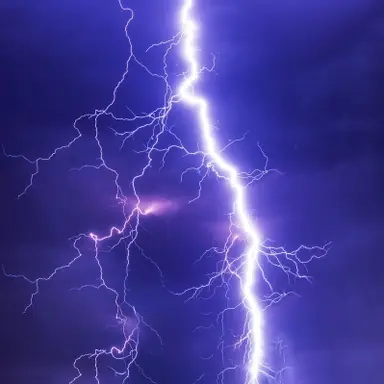 Profile image of 번개