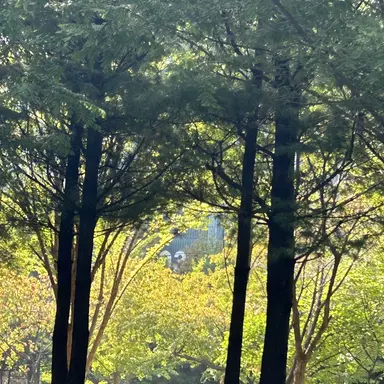 Profile image of 공룡