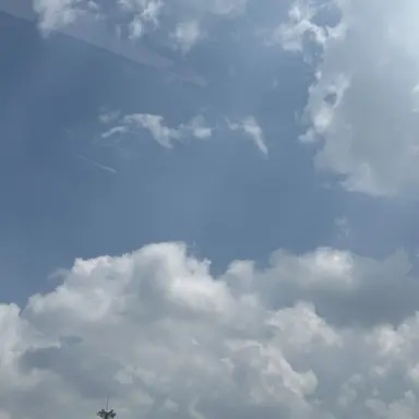 Profile image of 잠뜰