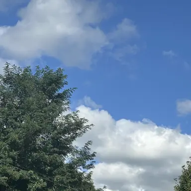 Profile image of 각별