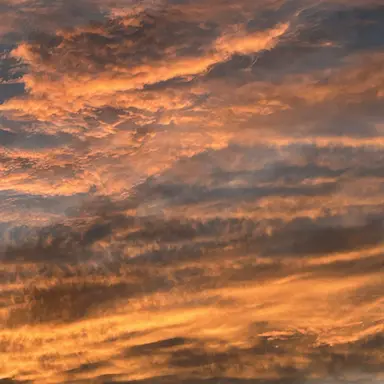 Profile image of 라더