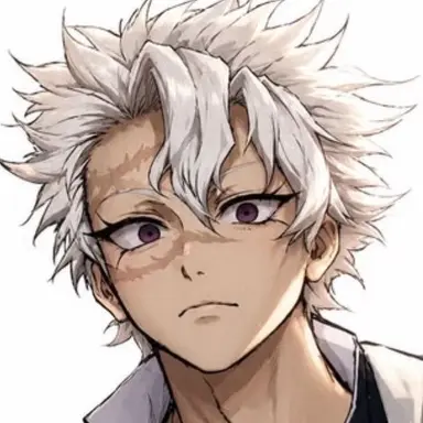 Profile image of Sanemi Shinazugawa