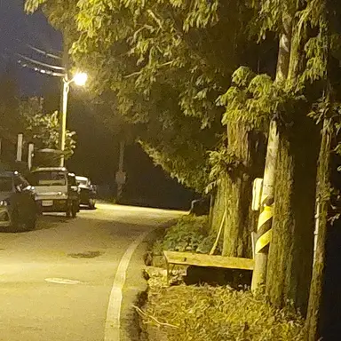 Profile image of 뜰팁