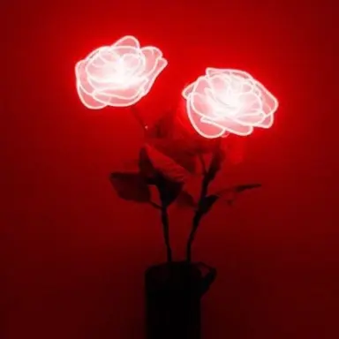 Profile image of 라더