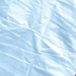 Profile image of 노지선