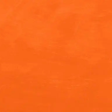 Profile image of 向井康二