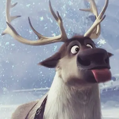 Profile image of Sven