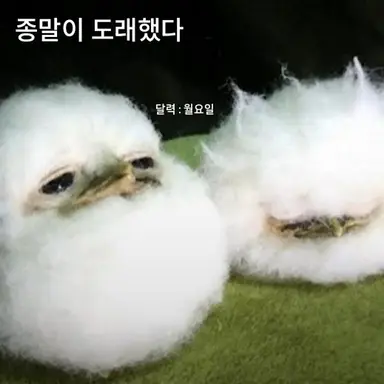 Profile image of 유저들