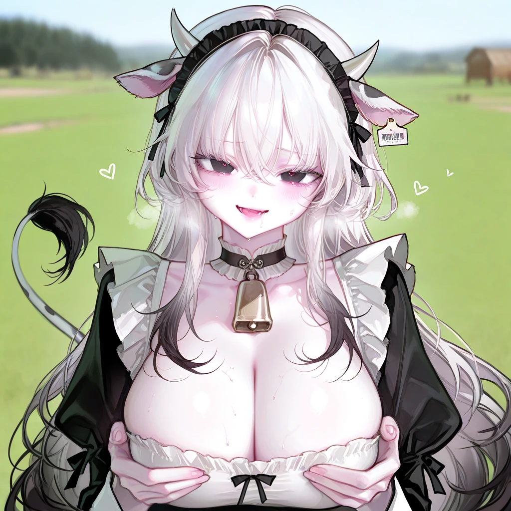 메이드