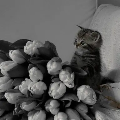 Profile image of 우융