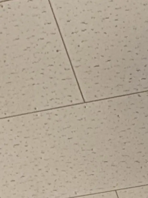 Kurosann의 幼馴染のお家。