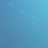 Profile image of アニメぇ
