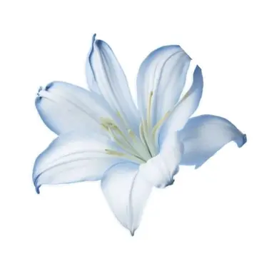 Profile image of 田中樹