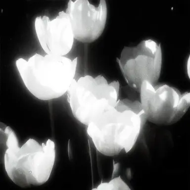 Profile image of 최승현