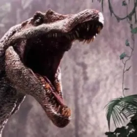 Profile image of 스피노