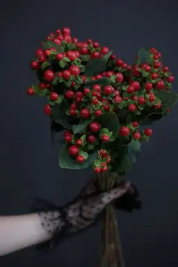 Profile image of 박찬영