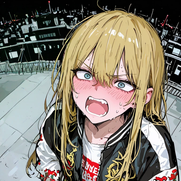 リンカ