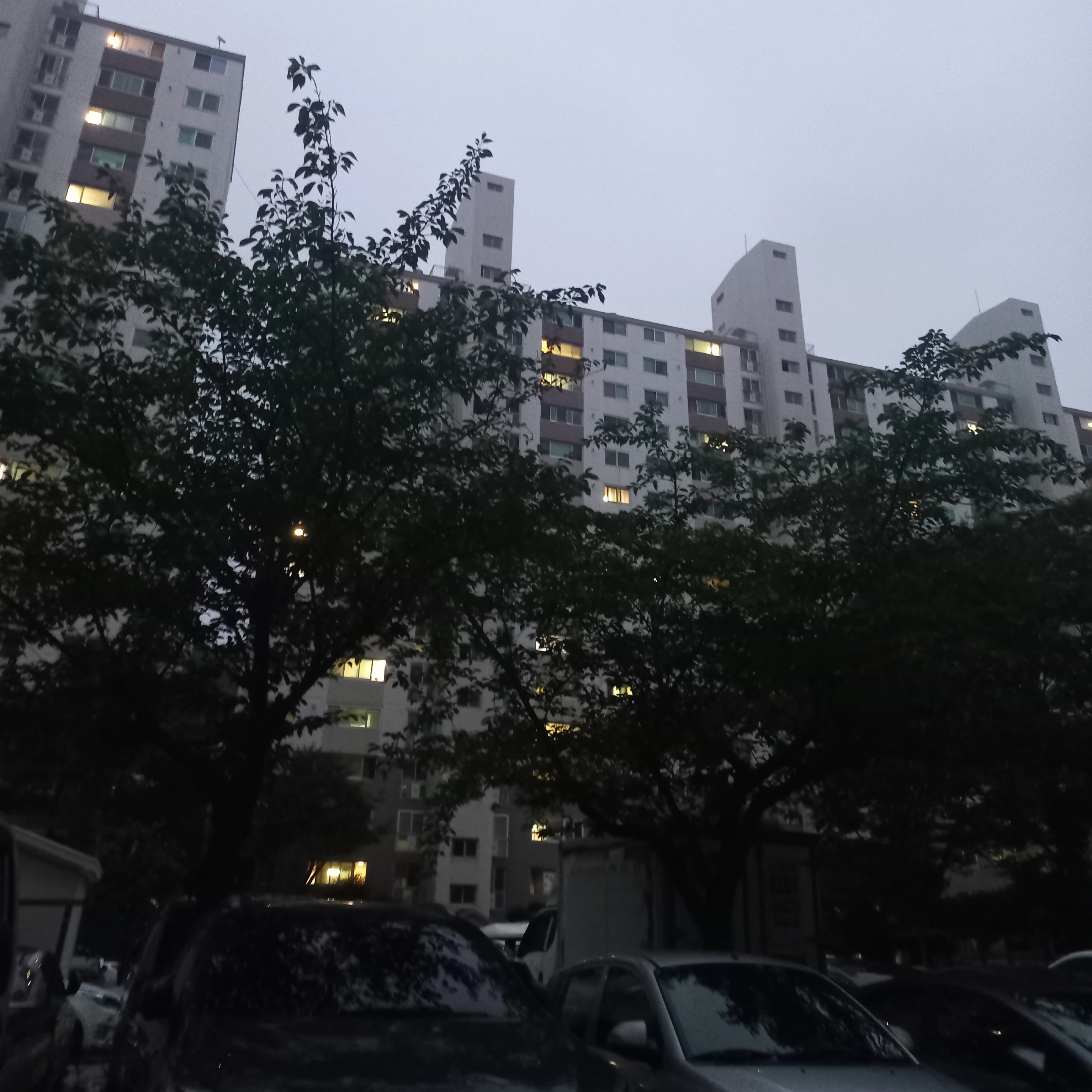 버튜버인당신