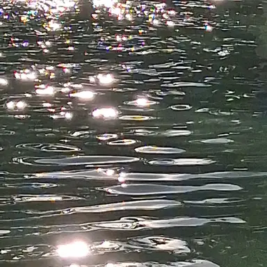 Profile image of 이지훈