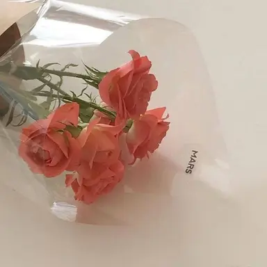 Profile image of 유기사 에르디아