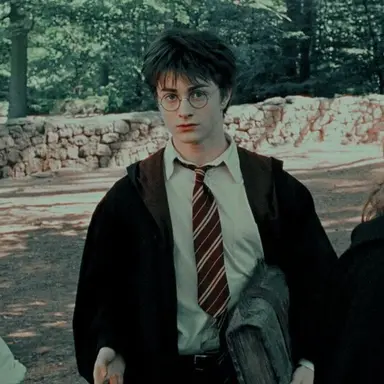 Profile image of Harry Potter