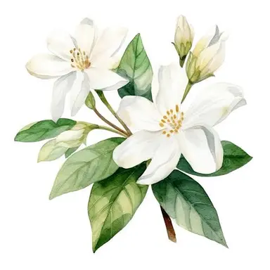 Profile image of Buriko