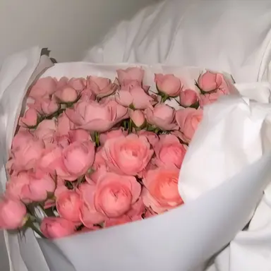 Profile image of 성한빈