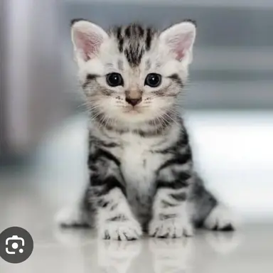 Profile image of ありさ