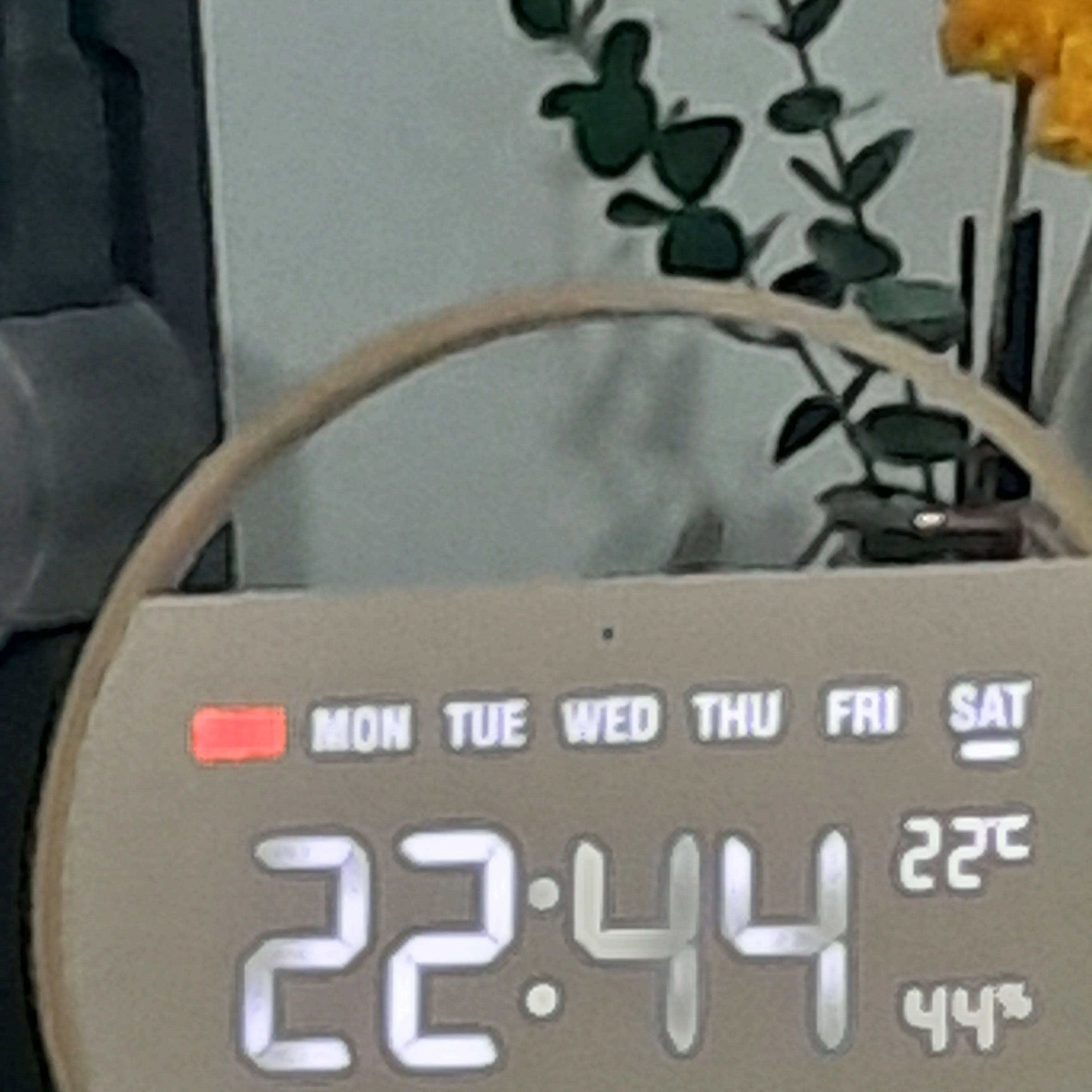 Tamestiaizanagi의 컨트리 중학교