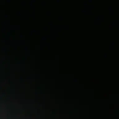 Profile image of 베일리