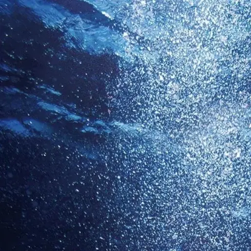 RigidPiu1851의 한유진