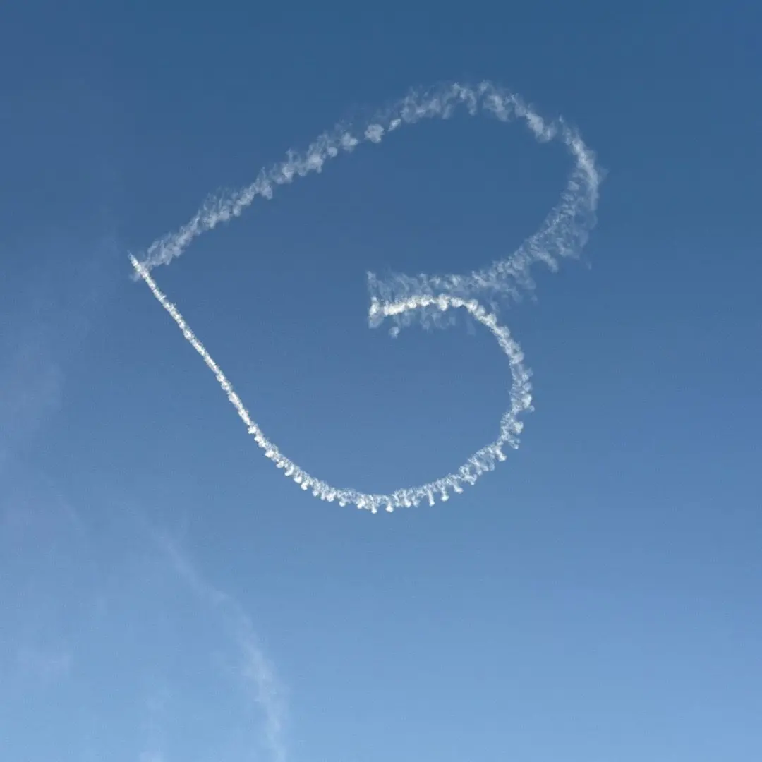 jangno0979의 프나가 친언니?