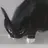 냥이