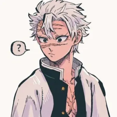 Profile image of 시나즈가와 사네미