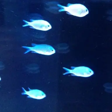 Profile image of 진