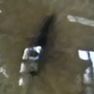 SuperbLyre8545의 ね