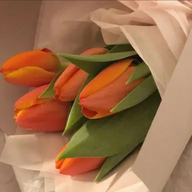 Profile image of 덕경장