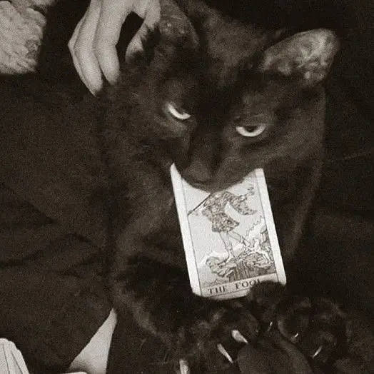 zmeow의 ᅠᅠᅠᅠᅠᅠᅠ