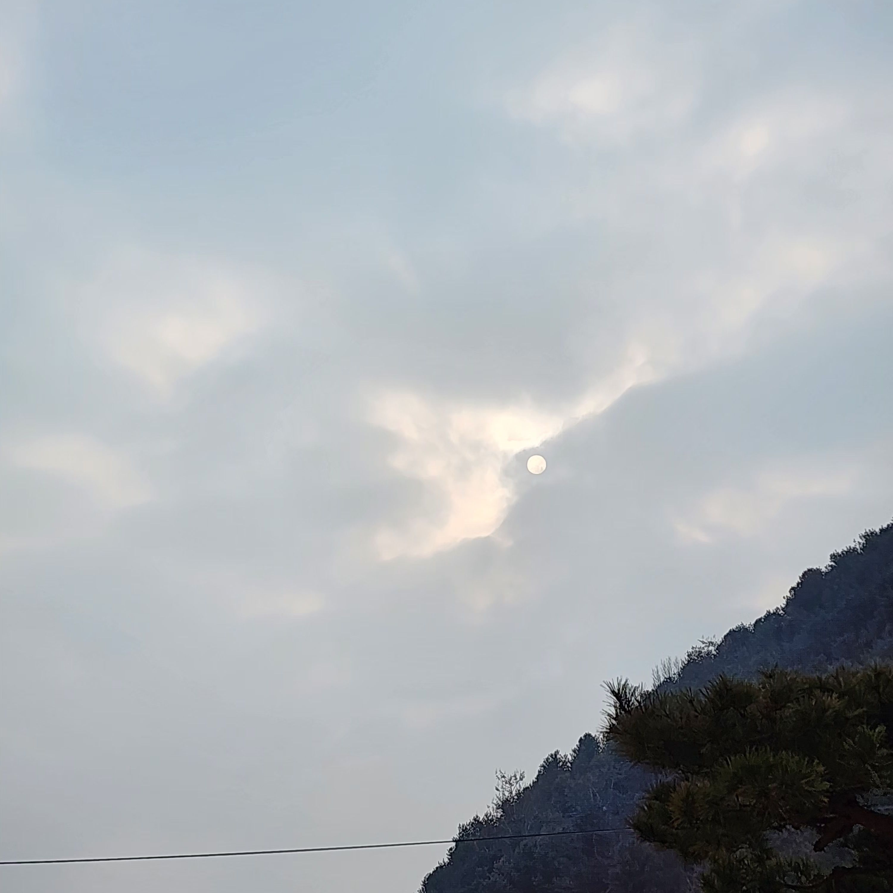나루토 학교 대표 이미지