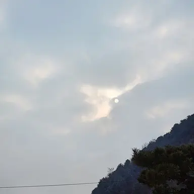Profile image of 사스케