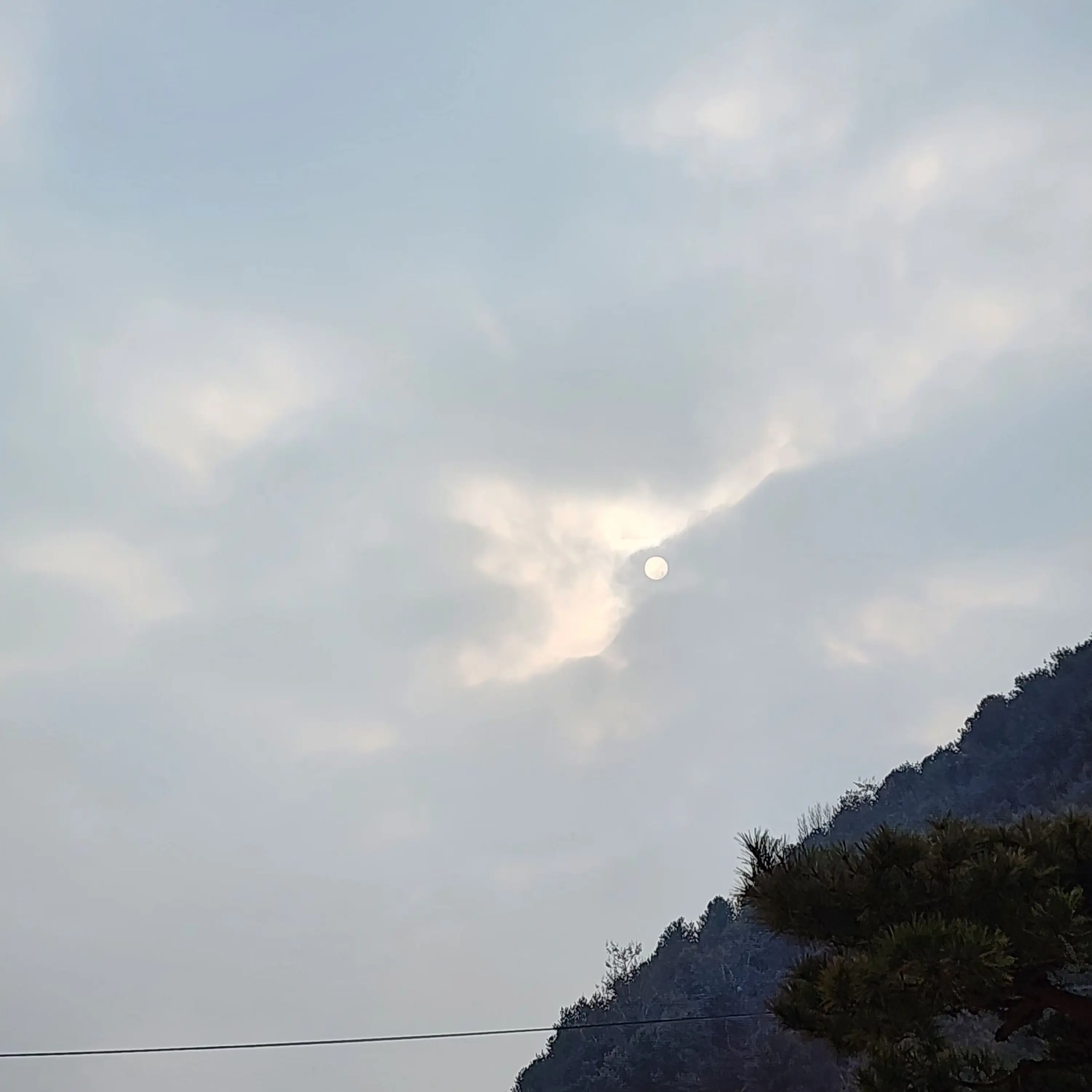 FluffyFatty5879의 나루토 학교