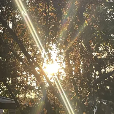 Profile image of 각별