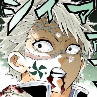 시나즈가와 사네미